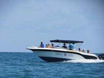 Mauritius marine life observation private speedboat cruise